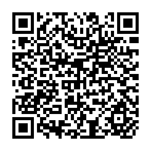 QR Code for Regional Cooperation among Developing Countries to Improve Food Security