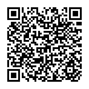 QR Code for The Deceleration Hypothesis & Yield - Increasing Inputs in Indian Agriculture