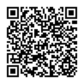 QR Code for Choosing the Right Role for Crop Insurance