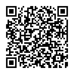 QR Code for Rice Bran : An Under-Utilized Raw Material