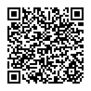 QR Code for Guidelines for Pbme Benchmark Agro-Ekonomic Profiles for Large Irrigation Projects