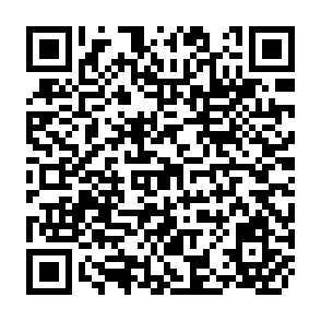 QR Code for Evolving Food Gaps in The Middle East/North Africa:Prospects and Policy Implications