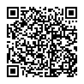 QR Code for The Effects on Income Distribution and Nutrition of Alternative Rice Price Policies in Thailand