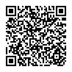 QR Code for Workshop Report on Multi-Level Information System for Integrated Rural Development
