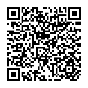 QR Code for Workshop Report on Multi-Level Information System for Integrated Rural Development