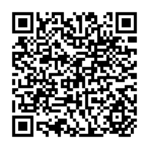 QR Code for Workshop Report on Productivity and Employment Implications of Small Scale Farming