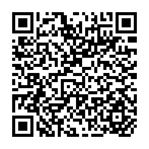 QR Code for Tradition and Change in the Fijian Villagae