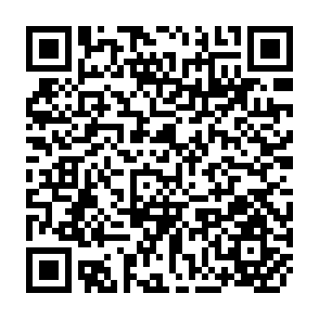 QR Code for The Determinants of Individual Diets and Nutritional Status in Six Villages of Southern India