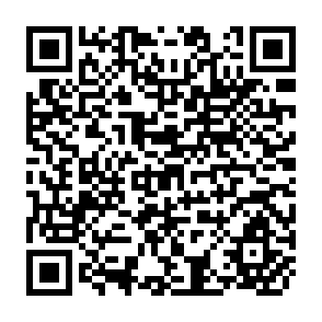 QR Code for Report of The Round Table on Rural Poverty in Latin America and the Caribbean