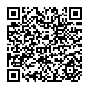 QR Code for Delivery Systems and the Small Farmer in Latin America