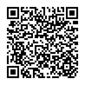 QR Code for Basic Marketing