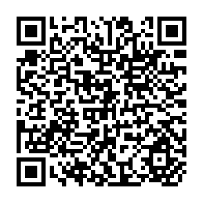 QR Code for Micro-theory and economic choices