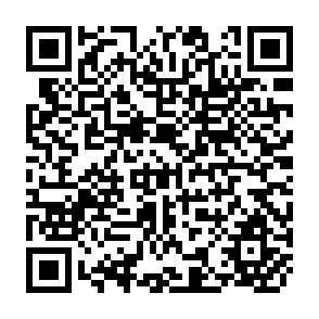QR Code for Sociology:A student's introduction