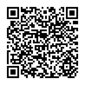 QR Code for Issues in Labor Policy