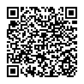 QR Code for Simplifying Accounting Language: Don't Lose Your Balance!