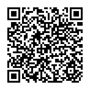 QR Code for Freedom and Beyond
