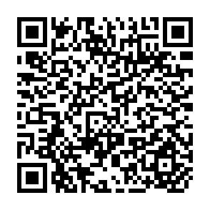 QR Code for Professional Portrait Techniques