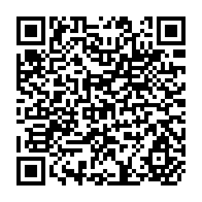 QR Code for Youth Training and Employment Schemes in Developing countries