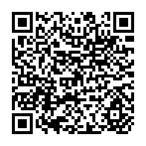 QR Code for Directory of Importers of Spices