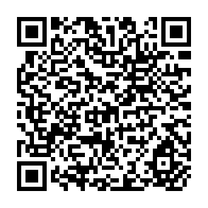 QR Code for Urban Unemployment in Developing Countries