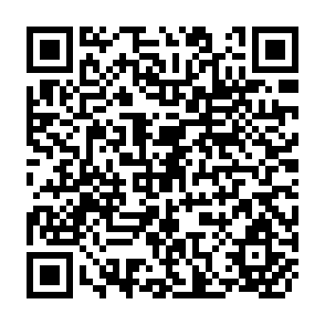 QR Code for Forests Food and People