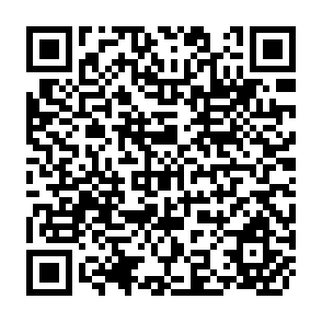 QR Code for Toward a Strategy for Agricultural Development
