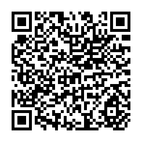 QR Code for Trade in Agricultural Products Between Developing Countries: Latin America Exports During 1962-1979