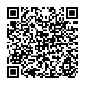 QR Code for The Food Situation in Sevelopment Countries: Two Devades in Review