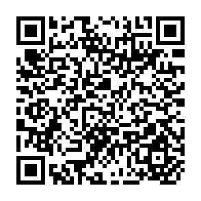 QR Code for Chickpea Bibliograph