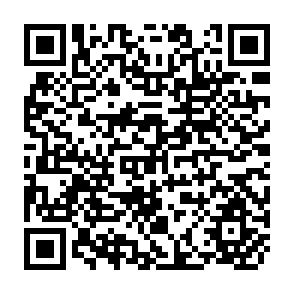 QR Code for Block-Recursiveness of the Household Production Model Under Risk