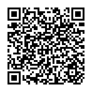 QR Code for Export Promotion via Industrial Enclaves: The Philippines' Bataan Export Processing Zones