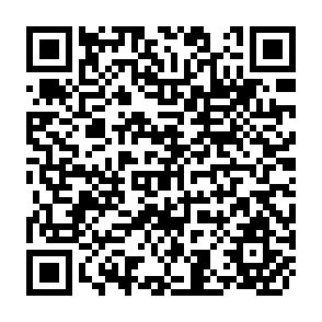 QR Code for Agricultural Development: A Review of FAO's Field Activities