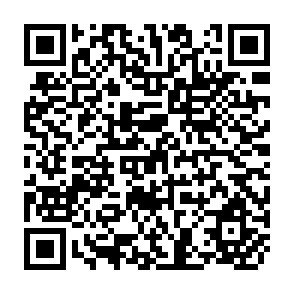 QR Code for Wood Energy Development