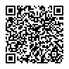 QR Code for Domestic Terms of Trade and Economic Development of India