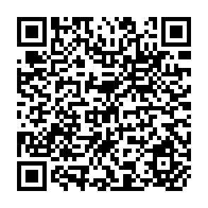 QR Code for Writer's Guide
