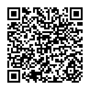 QR Code for Poverty, Productivity and Participation