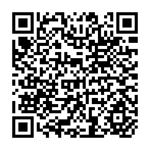 QR Code for Anti-Trust Guidelines for the Business Executive