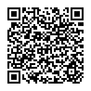 QR Code for Food for the Future