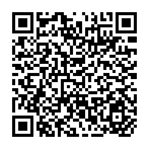 QR Code for Evaluation of Large Ruminants for the Tropics