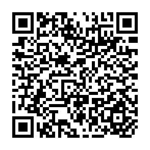 QR Code for Evaluation of Large Ruminants for the Tropics