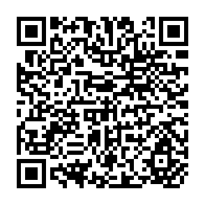 QR Code for Special Employment Schemes in Rural Bangladesh: Issues and Perspectives