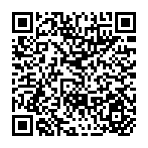 QR Code for Commonwealth Expert Consultation on Rural Institutions