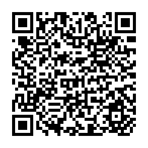 QR Code for Interaction of Technological Change and Irrigation in Determining Farm Resource Use, Jabalpur District, India 1967-1968