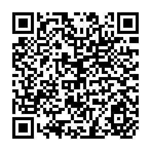 QR Code for PL 480 Title I: A Discussion of Impact Evalution Results and Recommendations