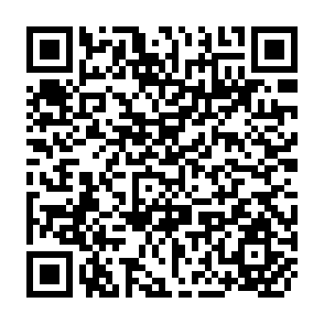 QR Code for The Workshop on Pastoralism and African Livestock Development