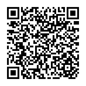 QR Code for The Workshop on Pastoralism and African Livestock Development
