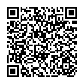 QR Code for A.I.D. Program Evaluation Discussion Paper No. 15