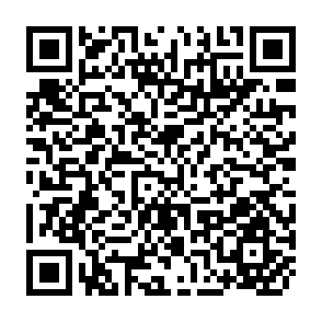 QR Code for Struture and Performance of the Rice Marketing System in East Pakistan