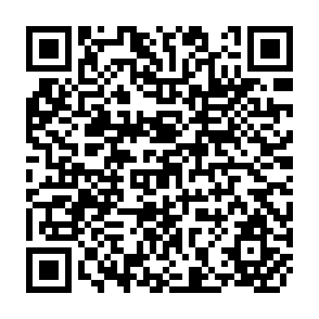 QR Code for Energy Alternatives for Irrigation Pumping: Some Results for Small Farms in North Bihar