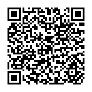QR Code for Water Use Patterns in Different Scales of Pump Irrigation Systems